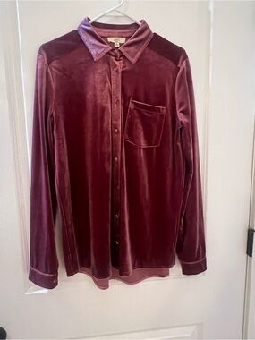 entro Velvet Button-Front Blouse in Burgundy